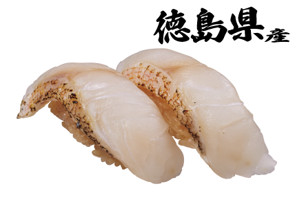 徳島県産 白甘鯛
