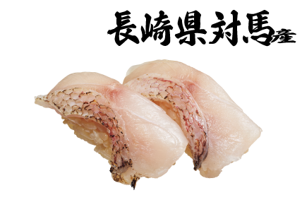 紅王 甘鯛
