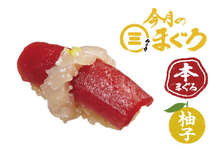 本まぐろ赤身 塩麹びんちょう重ね