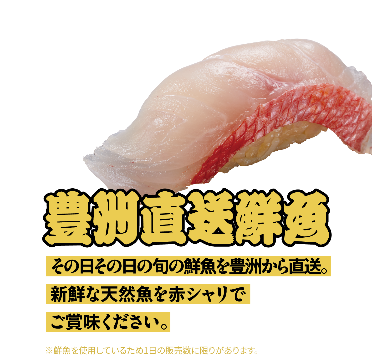 豊州直送鮮魚 その日その日の旬の鮮魚を豊洲から直送。新鮮な天然魚を赤シャリでご賞味ください。※鮮魚を使用しているため1日の販売数に限りがあります。
