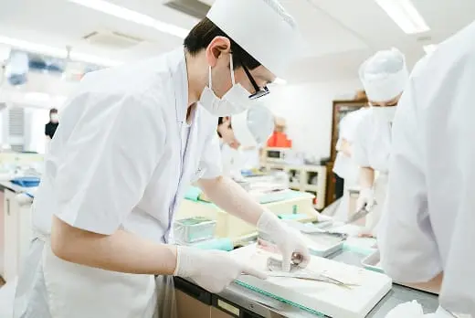寿司を巻く工程で調理師が集中して具材を並べている場面